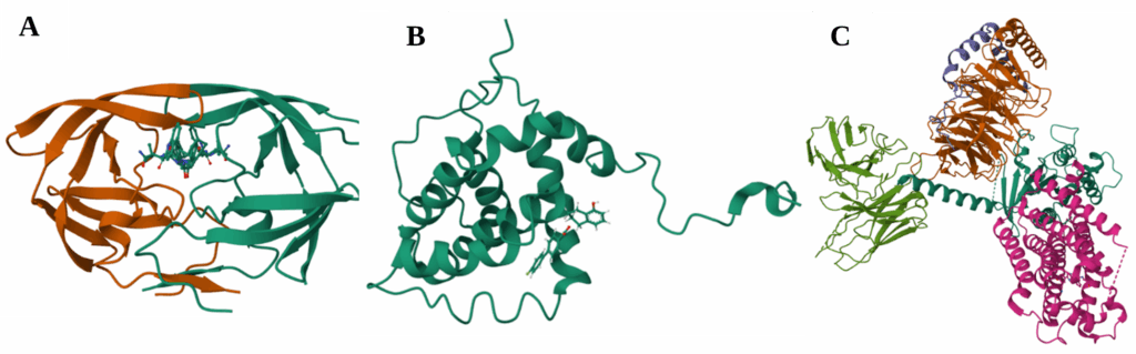 Figure 3. Drug–target structures revealed by major structural biology breakthrough techniques. Drug–target structures revealed by major structural biology breakthrough techniques.