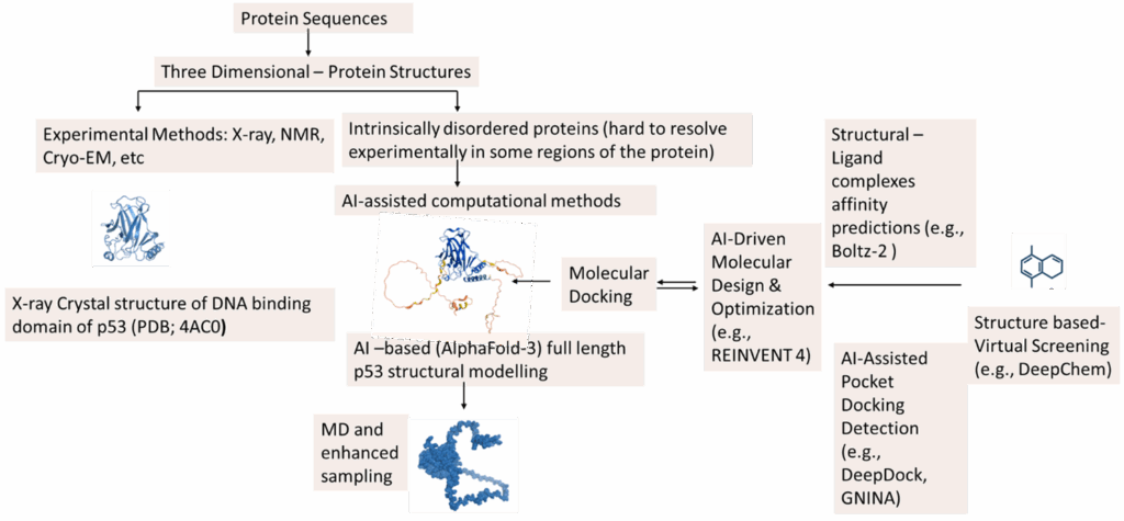Figure 4. Integrated structural and ai-based computational workflow for protein modeling and drug discovery: Integrated structural and ai-based computational workflow for protein modeling and drug discovery