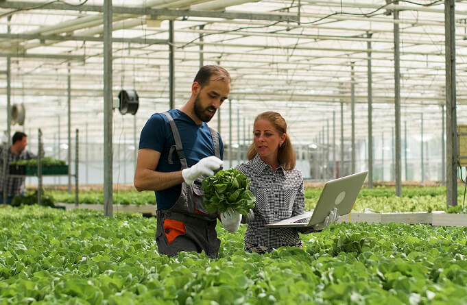Modernizing Agricultural Field Trials with AI and Voice-First Data Capture