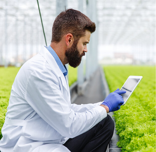 Scientist researching plants in greenhouse