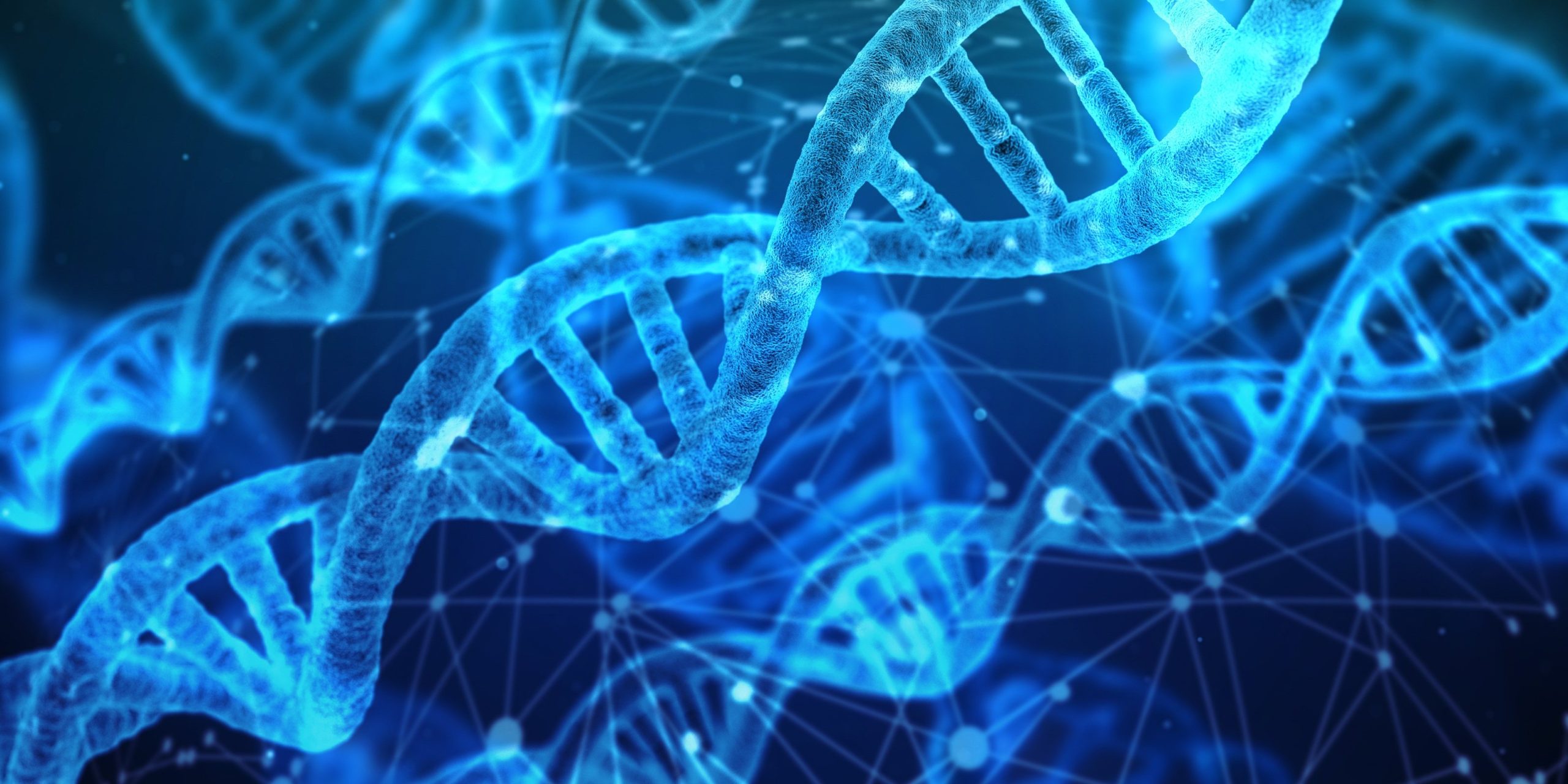 AI healthcare