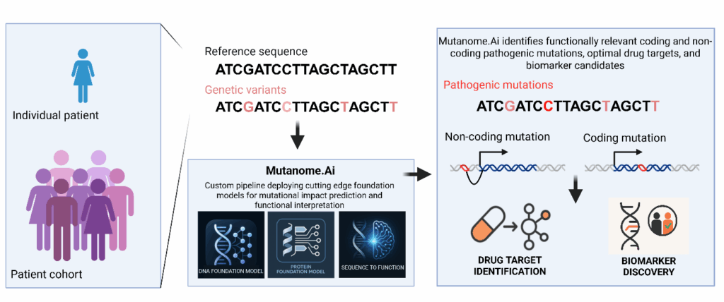 Starting with genetic variants detected from individual patients or cohort data, Mutanome.Ai™ deploys state of the art foundation models and perform prediction quality assessments to identify optimal drug targets and clinically actionable biomarkers.