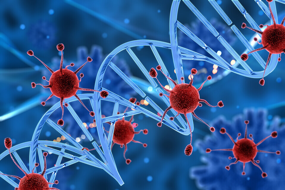 Decoding Molecular Heterogeneity in Lupus Nephritis